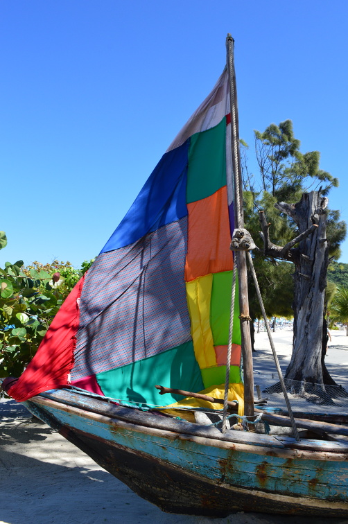 DSC_0462.JPG