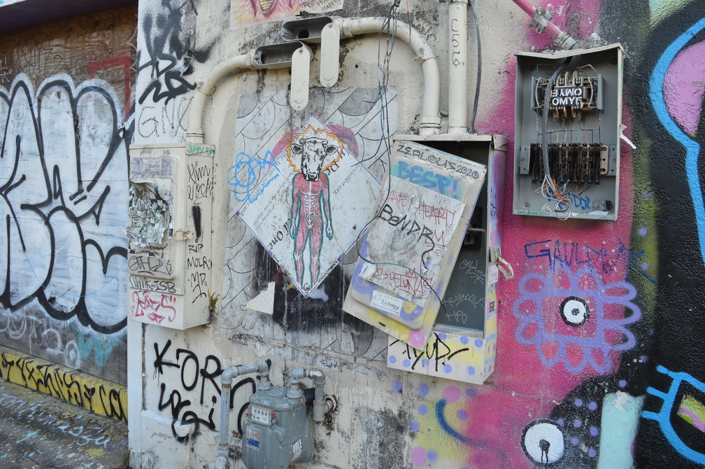 DSC_0073.JPG