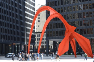 Chicago Flamingo