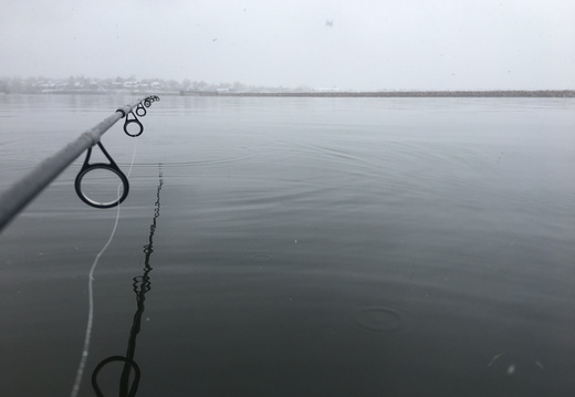 Cold Fog Fishing