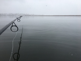 Cold Fog Fishing