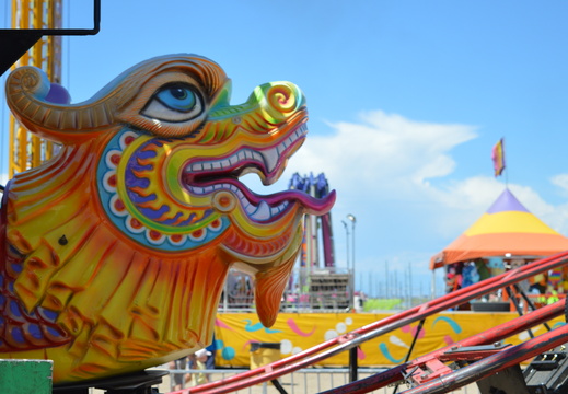Dragoncoaster