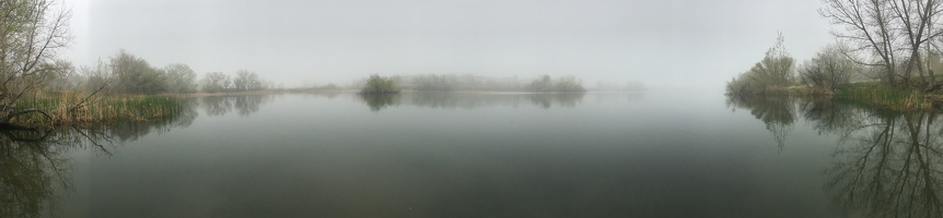 Foggy Panorama