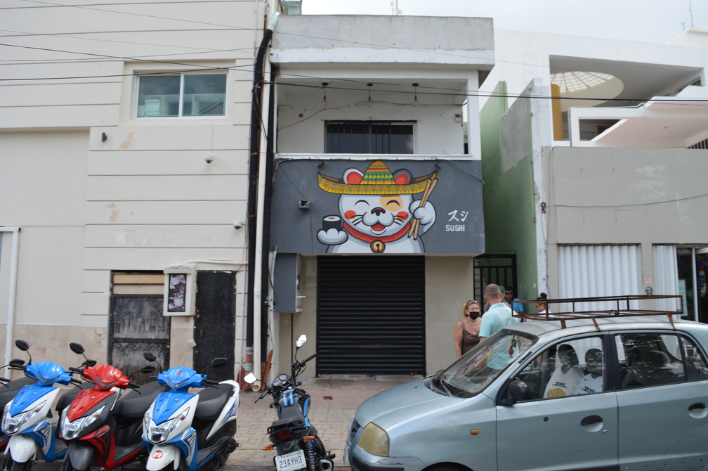 DSC_0265.JPG