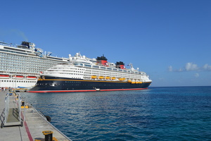 Disney Wonder
