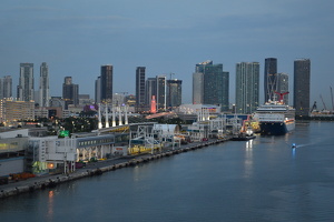 Miami Cruise Skyline
