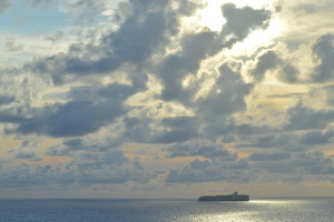 MSC Cargo Transport