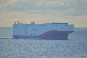 SIEM Car Carrier