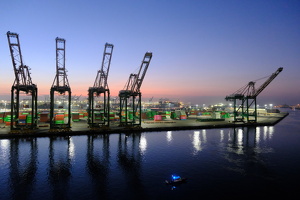 Colorful Cranes of Los Angeles