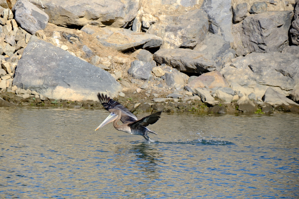DSCF0929.JPG