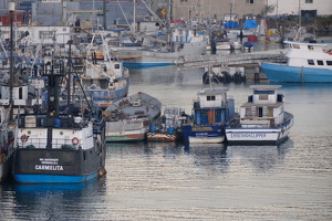 Ships of Ensenada