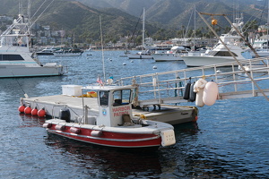 Catalina Island Harbor Patrol