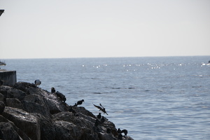 Rocky Landing