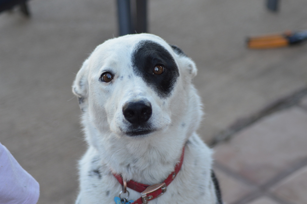 DSC_0023.JPG