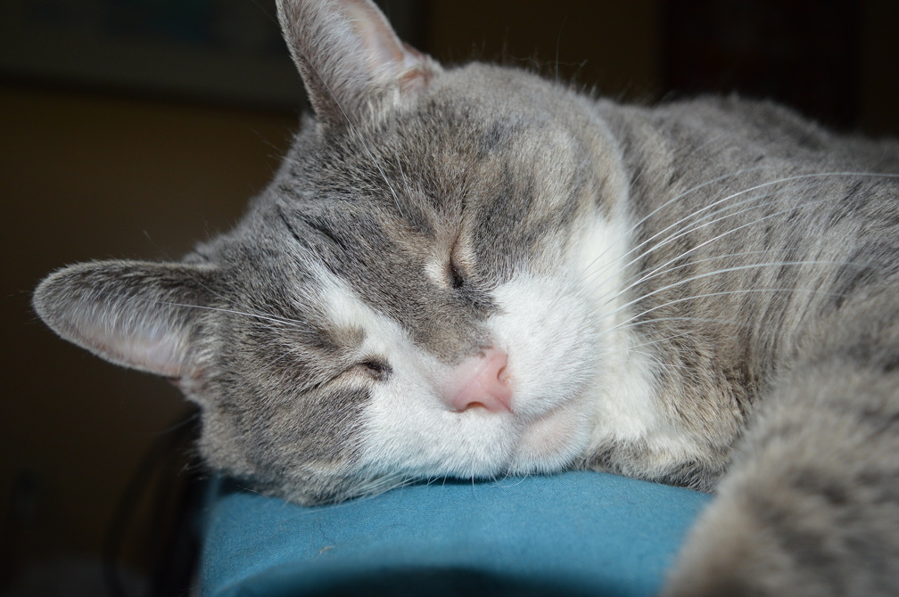 DSC_0017.JPG