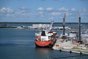 Bulk Carrier Magic Striker