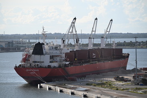 Bulk Carrier Magic Striker Side