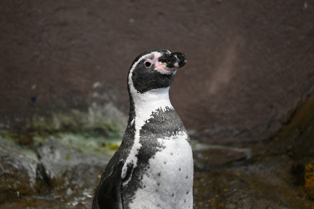 DSC_1840.JPG
