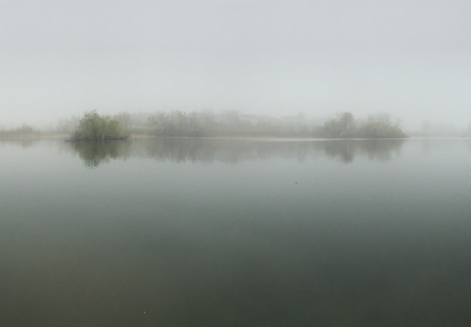 Foggy Panorama