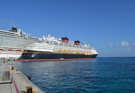 Disney Wonder
