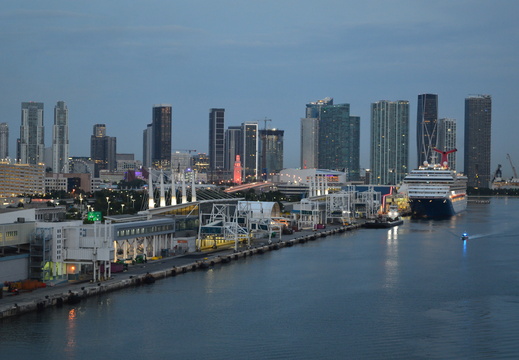 Miami Cruise Skyline