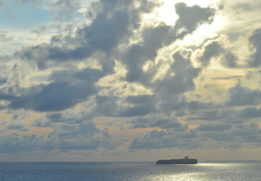MSC Cargo Transport