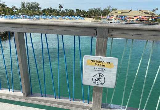The Poor Mermaids