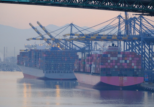 Wan Hai A03 (left) One Harbor (right)