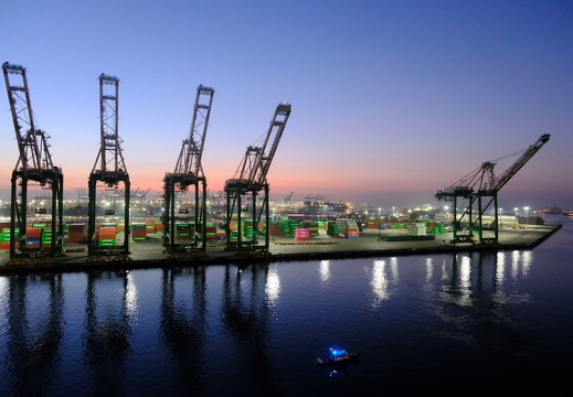 Colorful Cranes of Los Angeles