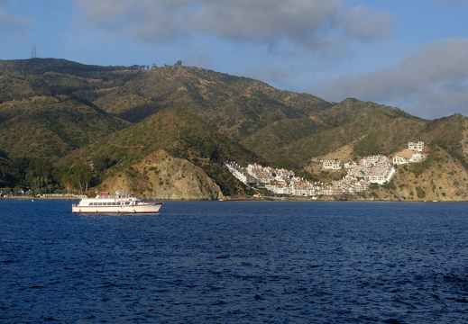 Catalina Classic Cruises