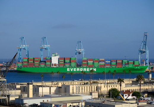 Evergreen Ever Logic