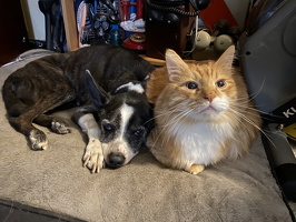 Sparky and Hobbes BFF 4eva