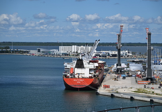 Bulk Carrier Magic Striker