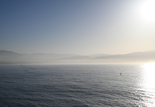 Foggy Morning