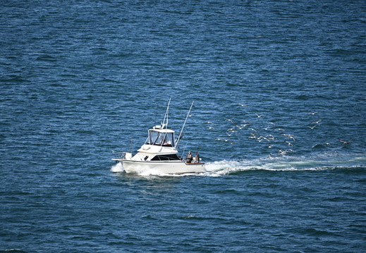 Successful Fishers