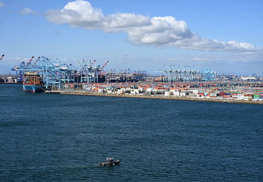 Port of Los Angeles In Daylight
